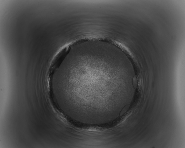 X0000085760684200703231155