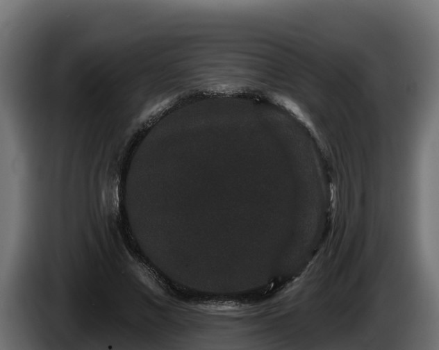 X0000085760685200703231155