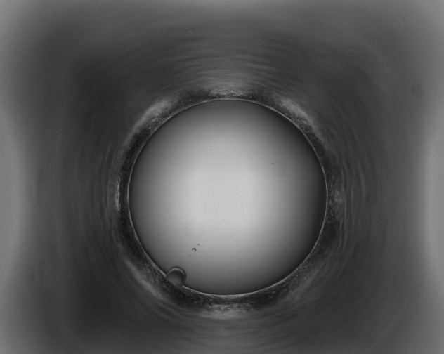 X0000085760686200703231155