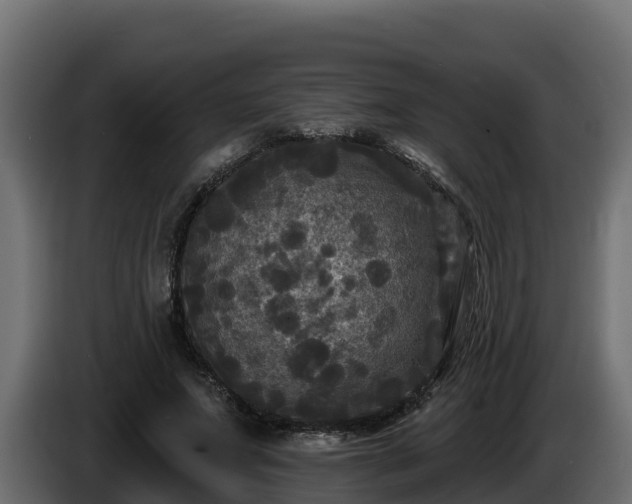 X0000085760687200703231155