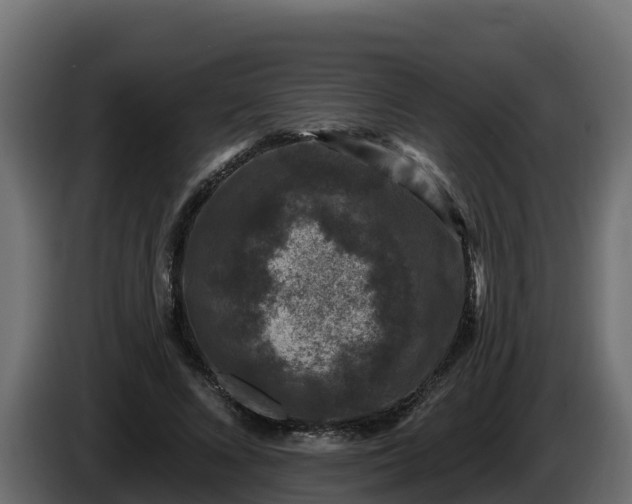 X0000085760688200703231155
