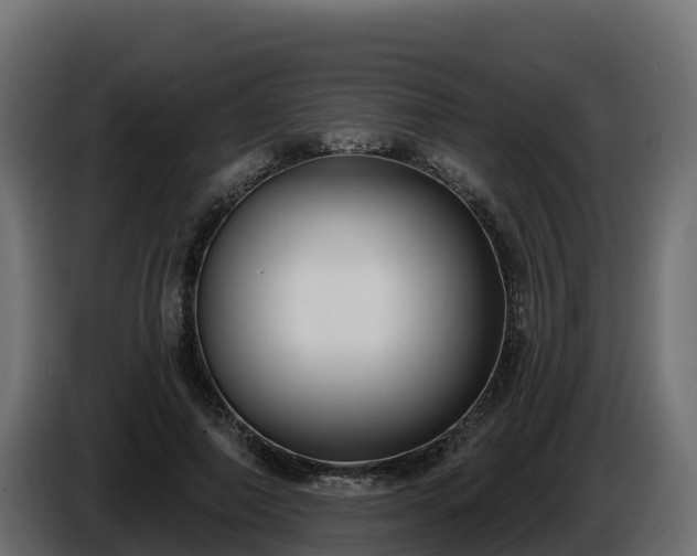 X0000085760690200703231155