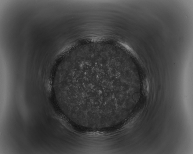 X0000085760691200703231155