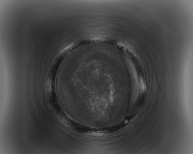 X0000085760692200703231155