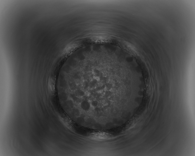 X0000085760695200703231155