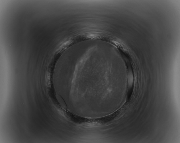 X0000085760696200703231155