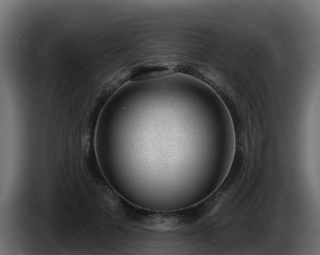 X0000085760697200703231155