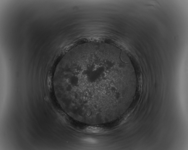 X0000085760699200703231155