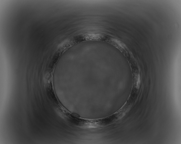 X0000085760701200703231155