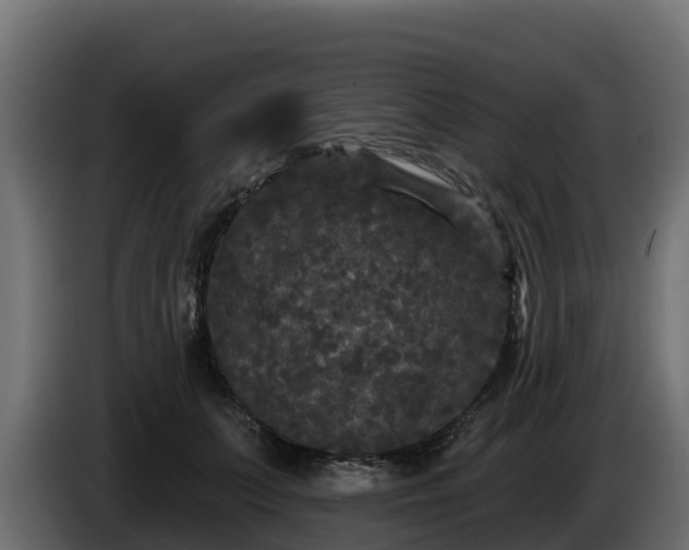 X0000085760703200703231154