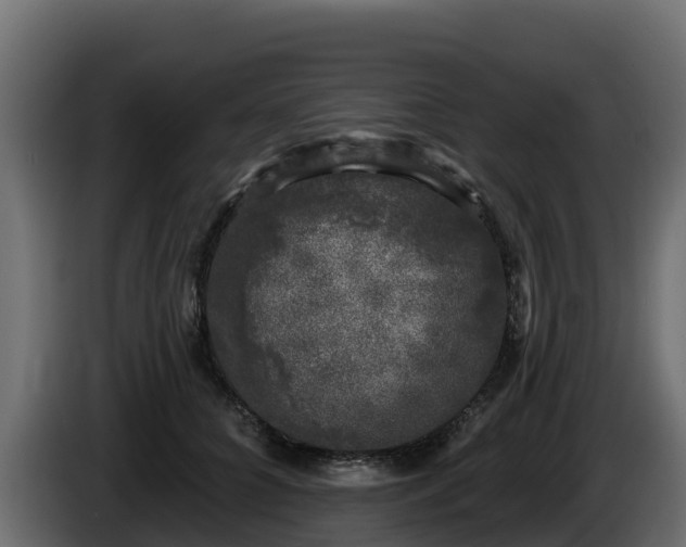 X0000085760704200703231154