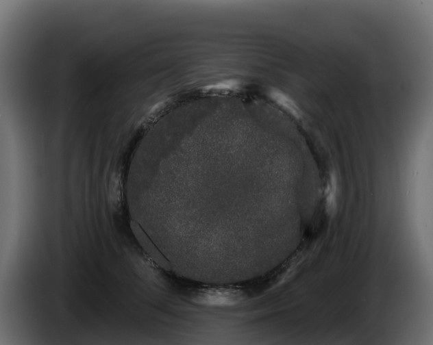 X0000085760708200703231154
