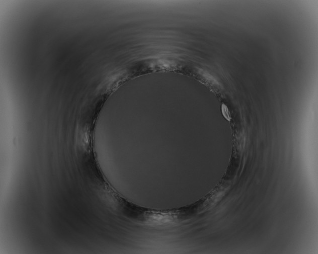 X0000085760709200703231154