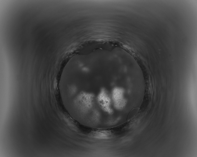 X0000085760711200703231154