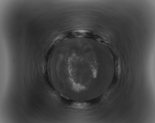 X0000085760712200703231154