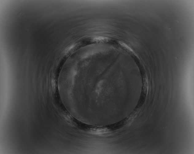X0000085760716200703231154