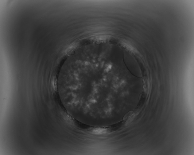 X0000085760718200703231154