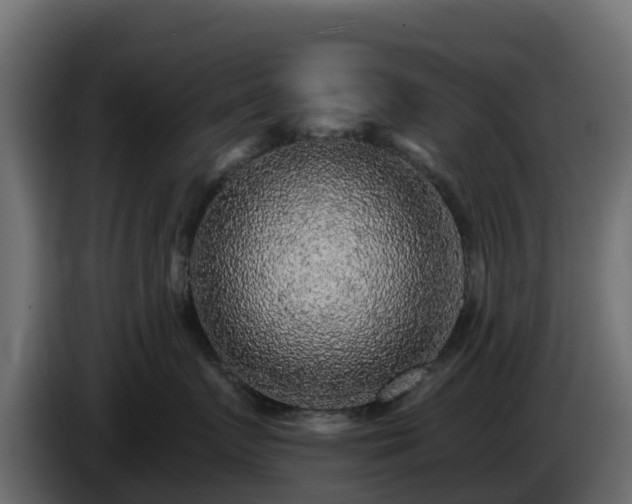 X0000085760719200703231154