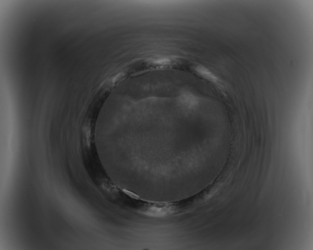 X0000085760720200703231154