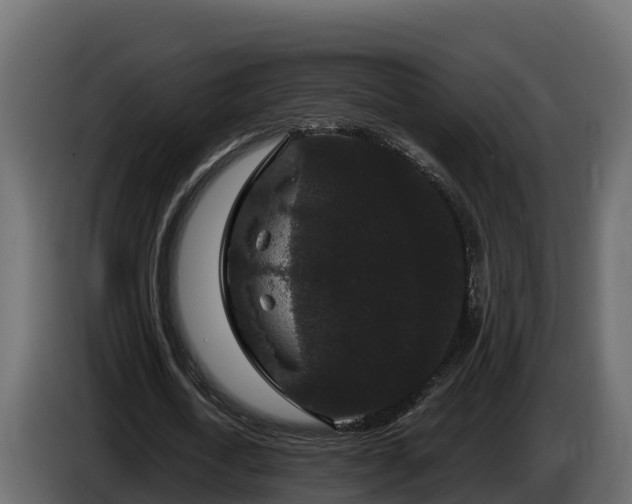 X0000085760722200703231154