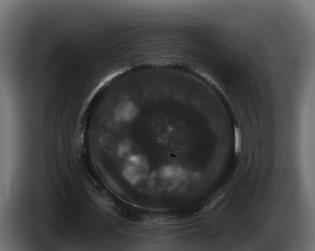 X0000085760723200703231154