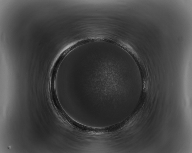 X0000085760724200703231154