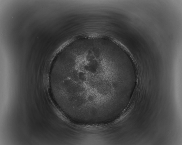 X0000085760725200703231154