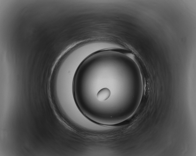 X0000085760726200703231154