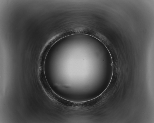 X0000085760728200703231154
