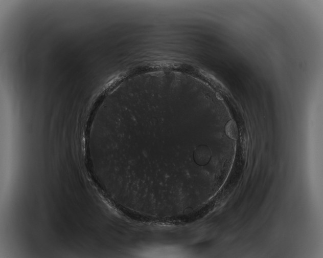 X0000085760729200703231154