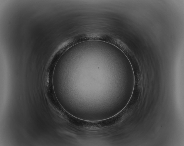 X0000085760731200703231154