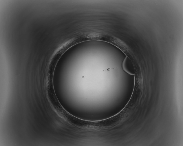 X0000085760732200703231154