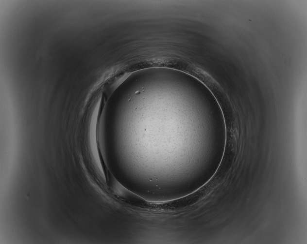 X0000085760734200703231154