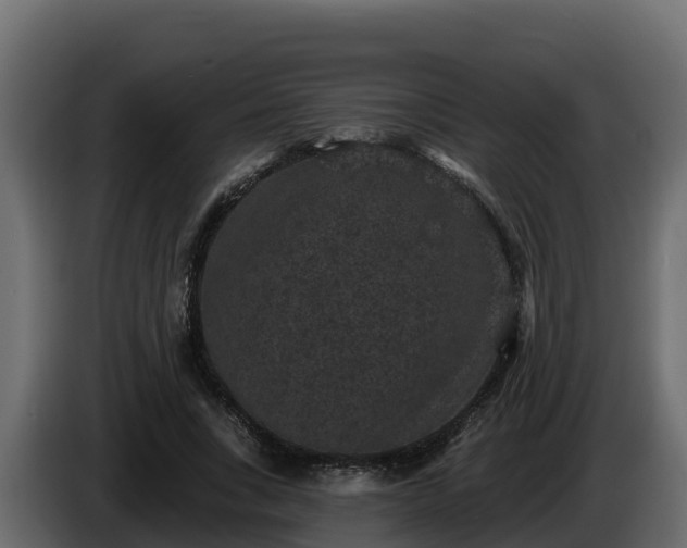 X0000085760735200703231154