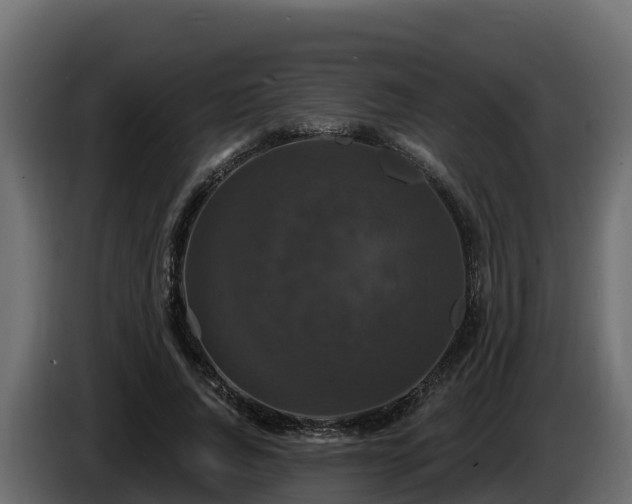 X0000085760736200703231154