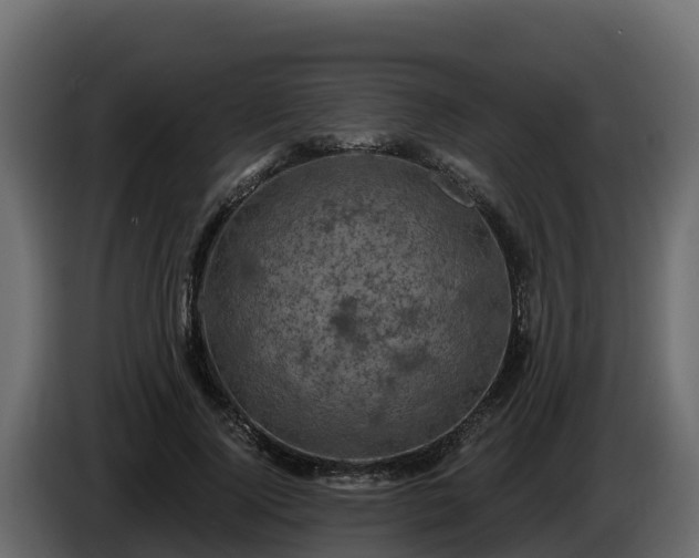 X0000085760740200703231154