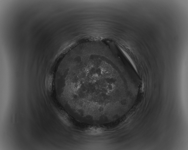 X0000085760742200703231154