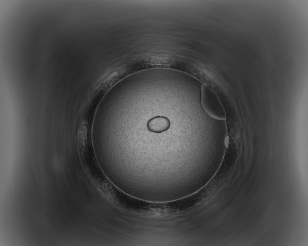 X0000085760744200703231154