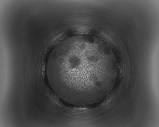 X0000085760745200703231154