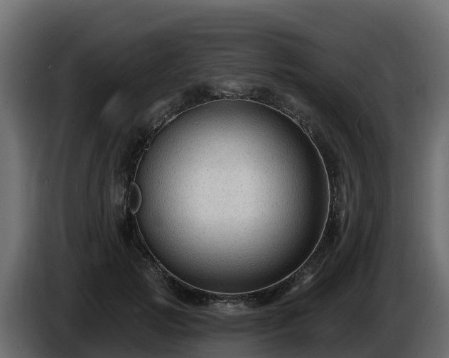 X0000085760749200703231154