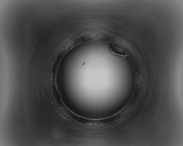 X0000085760752200703231154