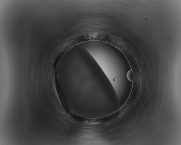 X0000085760754200703231154