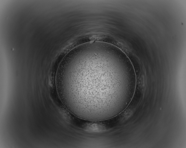 X0000085760755200703231154