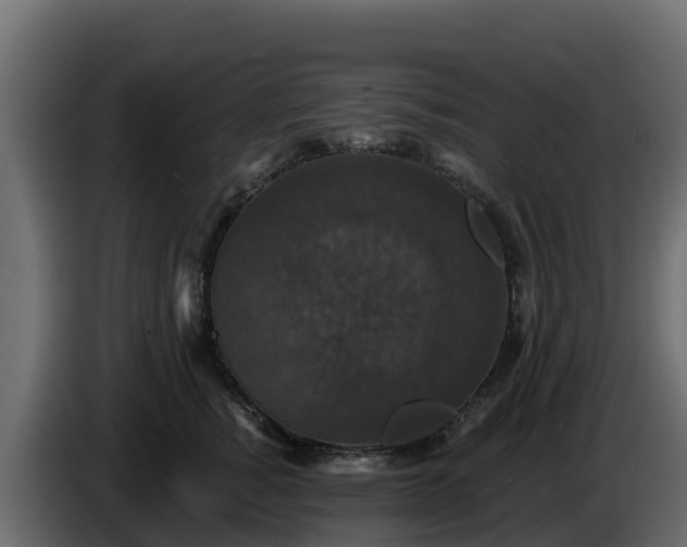 X0000085760760200703231154