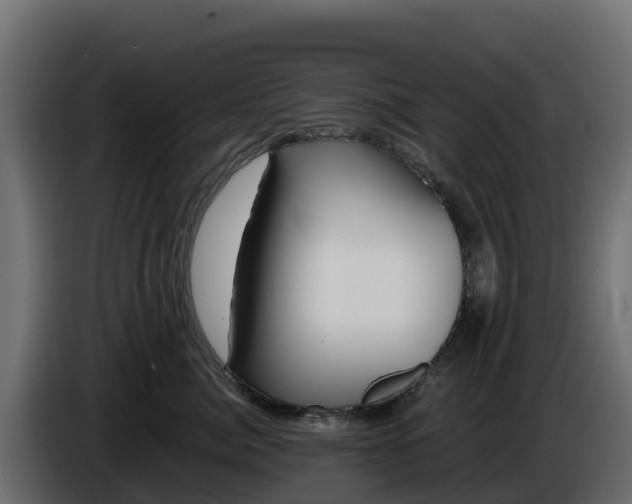 X0000085760764200703231154