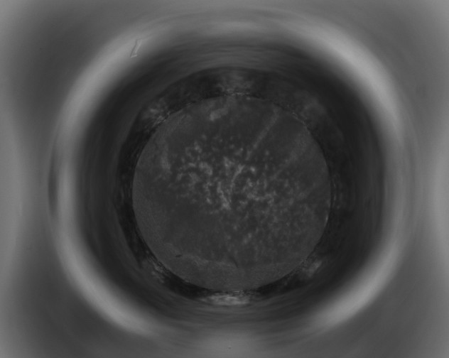 X0000085760765200703231154