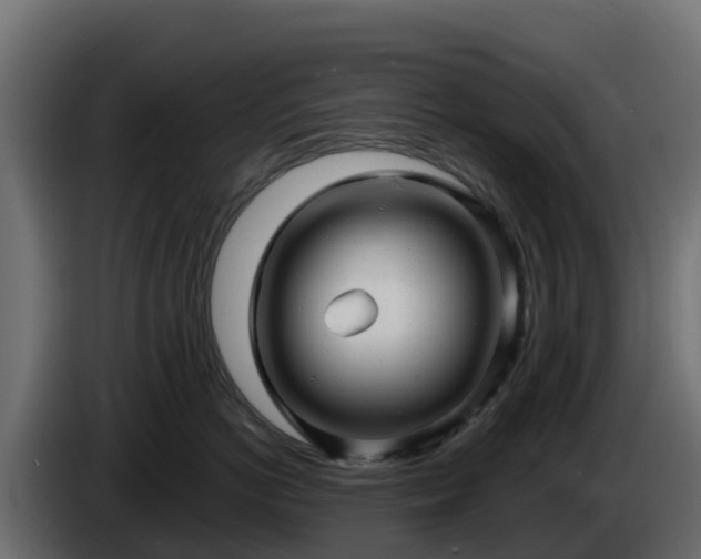 X0000085760766200703231154