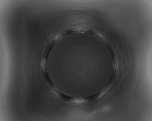 X0000085760767200703231154