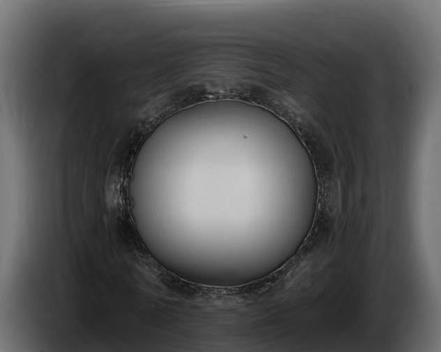 X0000085760770200703231154