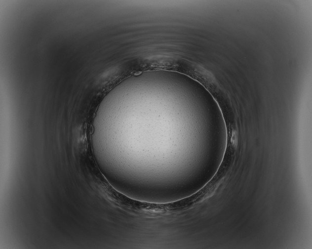 X0000085760771200703231154